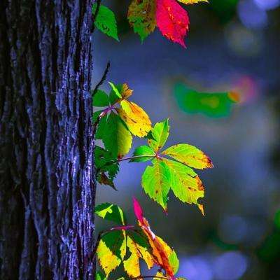 宇宙小子开汽车